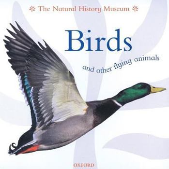 Paperback Birds and Other Flying Animals Book