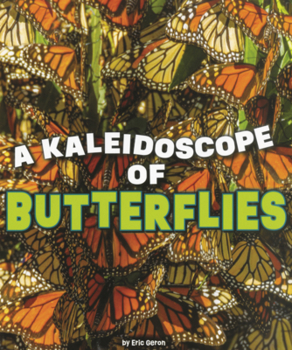 Kaleidoscope of Butterflies