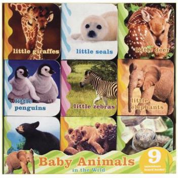 Board book Baby Animals in the Wild Book