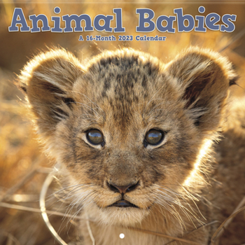 Calendar Animal Babies Wall Book