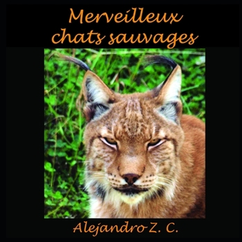 Paperback Merveilleux Chats Sauvages [French] Book