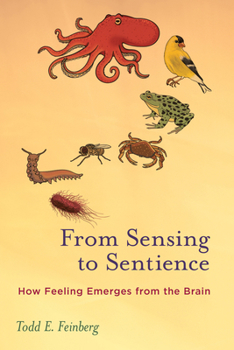 Paperback From Sensing to Sentience: How Feeling Emerges from the Brain Book