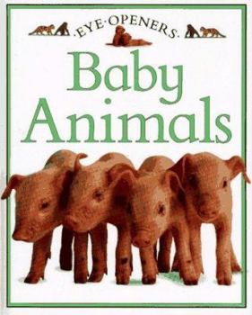 Baby Animals (Baby Genius) - Book  of the Eye Openers