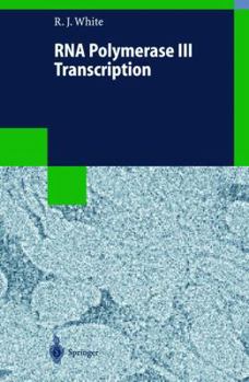 Hardcover RNA Polymerase III Transcription Book