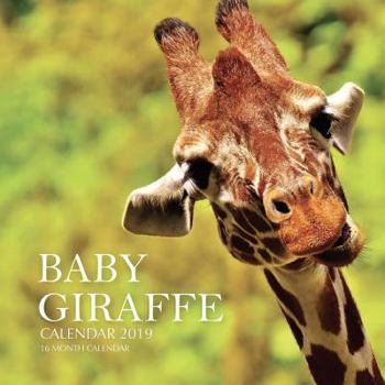 Paperback Baby Giraffe Calendar 2019: 16 Month Calendar Book