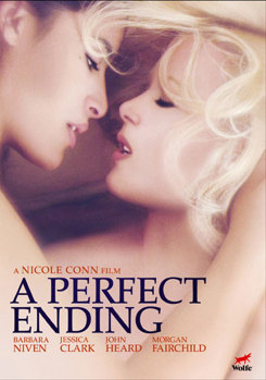 DVD A Perfect Ending Book