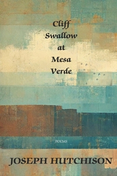 Paperback Cliff Swallow at Mesa Verde Book