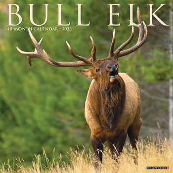 Calendar Bull Elk 2023 Wall Calendar Book