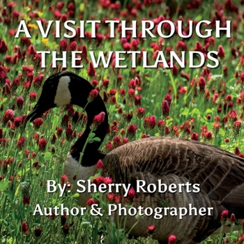 Paperback A Visit Through the Wetlands Book