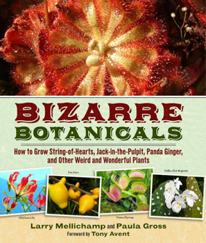 Hardcover Bizarre Botanicals: How to Grow String-Of-Hearts, Jack-In-The-Pulpit, Panda Ginger, and Other Weird and Wonderful Plants Book