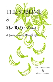 Paperback The Sublime and the Ridiculous Book