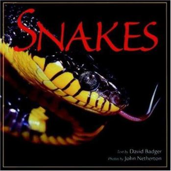 Hardcover Snakes Book