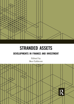 Paperback Stranded Assets: Developments in Finance and Investment Book