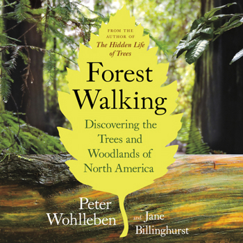 Paperback Forest Walking: Discovering the Trees and Woodlands of North America Book