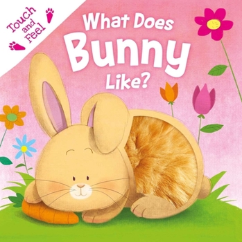 Board book What Does Bunny Like?: Touch & Feel Board Book