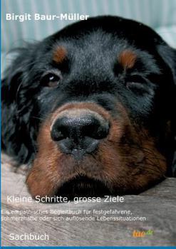 Paperback Kleine Schritte, grosse Ziele [German] Book