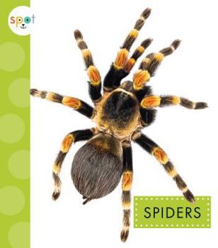 Spiders - Book  of the Spot Creepy Crawlies