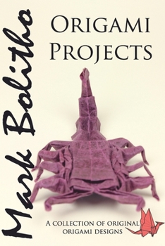 Paperback Origami Projects: A collection of original origami designs Book