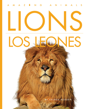 Paperback Lions / Los Leones [Spanish] Book