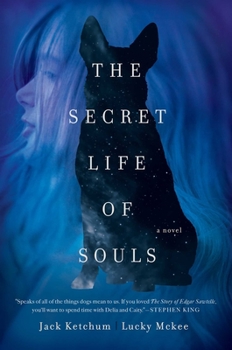 Hardcover The Secret Life of Souls Book