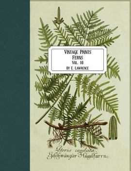 Paperback Vintage Prints: Ferns: Vol. 10 Book