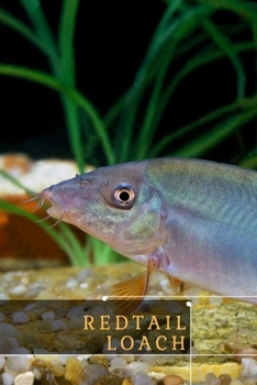 Paperback Redtail Loach: Java Moss Book