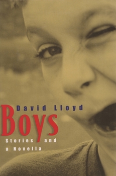 Paperback Boys: Stories and a Novella Book