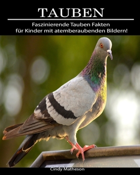 Tauben : Faszinierende Tauben Fakten F�r Kinder Mit Atemberaubenden Bildern!