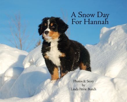 Hardcover A Snow Day for Hannah Book