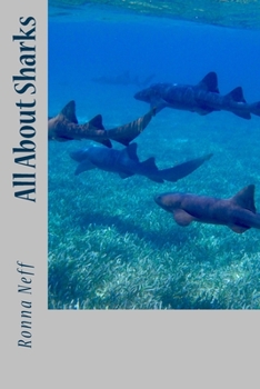 Paperback All About Sharks Book
