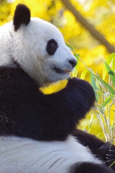Paperback Giant Panda Bear Journal: 150 Page Lined Notebook/Diary Book