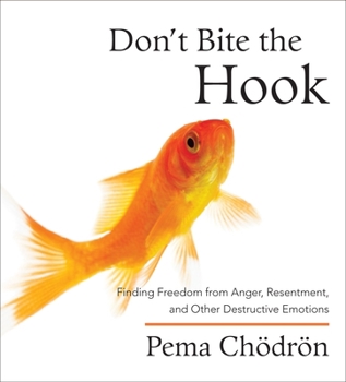 Audio CD Don't Bite the Hook: Finding Freedom from Anger, Resentment, and Other Destructive Emotions Book