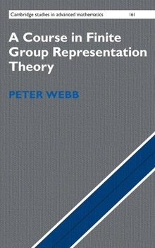 Hardcover A Course in Finite Group Representation Theory Book