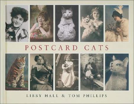 Hardcover Postcard Cats Book