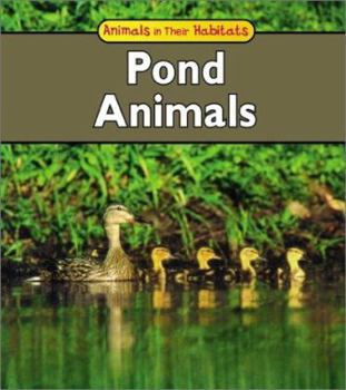 Paperback Pond Animals Book