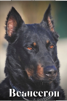 Paperback Beauceron: Dog breed overview and guide Book