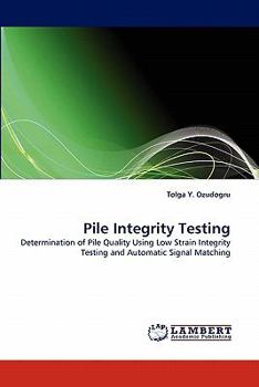 Paperback Pile Integrity Testing Book