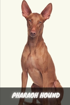 Paperback Pharaoh Hound: Complete breed guide Book