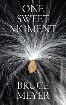 Paperback One Sweet Moment: Volume 305 Book