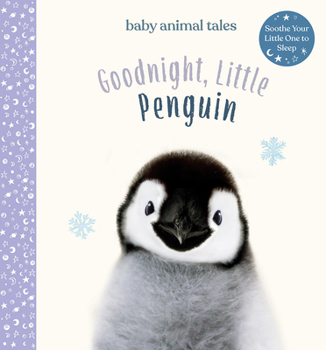 Hardcover Goodnight, Little Penguin: A Board Book