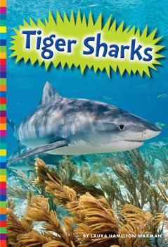 Tiger Sharks - Book  of the Sharks