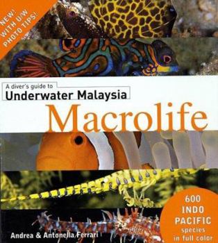 Hardcover A Divers Guide to Underwater Malaysia Macrolife Book