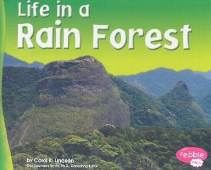 Hardcover Life in a Rain Forest Book