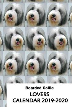 Paperback Bearded Collie Lovers Calendar 2019-2020 Book