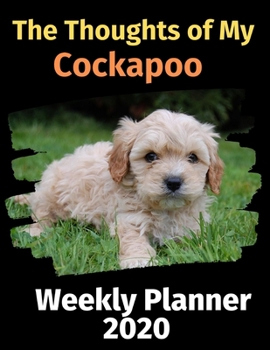 Paperback The Thoughts of My Cockapoo: Weekly Planner 2020 Book