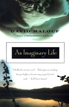 Paperback An Imaginary Life Book