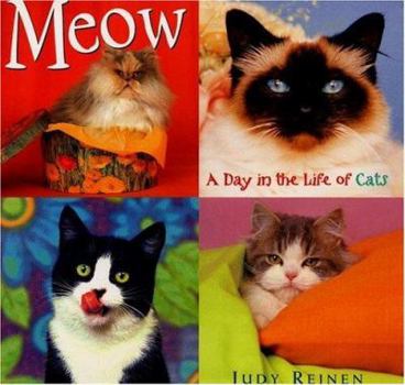 Hardcover Meow: A Day in the Life of Cats Book