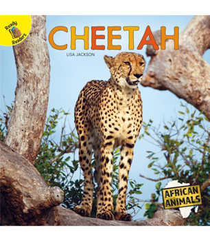 Paperback Cheetah Book