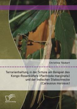 Terrarienhaltung in Der Schule Am Beispiel Des Kongo-Rosenkafers (Pachnoda Marginata) Und Der Indischen Stabschrecke (Carausius Morosus)