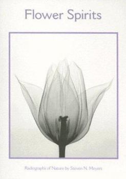 Hardcover Sellers Publishing, Inc. Flower Spirits Boxed Notecards (156906797X) Book